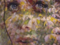 19.JANOTA