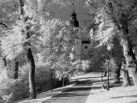 SCHLOSSB.2