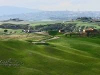 IMG_0473 Siena