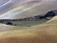 Toschcana 2
