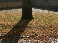 10. Eingekreist