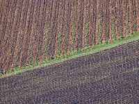 11.Weiberg pt 2