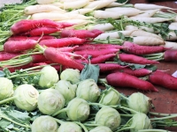 Dietz-Werner-Wochenmarkt