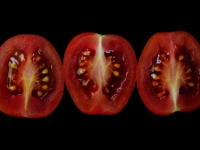 Kuhn-Dragomir_Rozina_3Tomaten