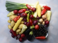 Kuhn_Kurt_Viel-zu-gesund