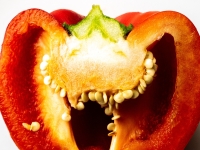 Nerstheimer-Detlef_da-lacht-die-Paprika