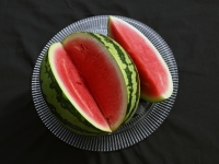 Scherer-Gerold_Melone