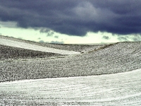 Csefalvay_ Alois_Fr__her Schnee