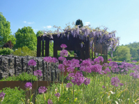 RADENBACH_Werner_Brenzpark