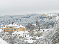 RADENBACH_Werner_Endlich-Schnee