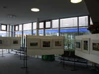 _Ausstellung2