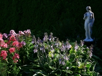 Csefalvay Alois _Im Garten