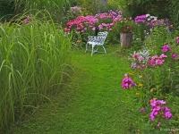 Ellens Paradies