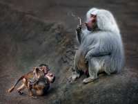 Gabriele Steiner_Babysitter