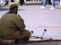 Kurt Kuhn_Djema-el-Fna Marrakesch