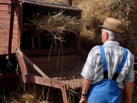 Martin Neuner_nei do_