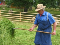 Werner Dietz_Heuernte