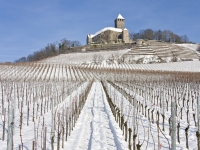 Werner_Radenbach_BURG_LICHTENBERG