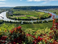 RADENBACH_Werner-Mundelsheim