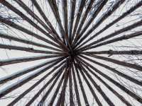 Dirk Kohle_Tipi