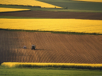 Gerd-Keydell_Härtsfeldlandschaft