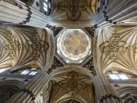 Martin-Neuner_Vierungskuppel-Kathedrale-Salamanca-ES