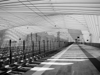 Rozina_Kuhn-Dragomir-Ferrovial