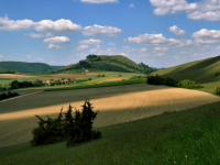 Rozina_Kuhn-Dragomir-Lichter_und_Schatten