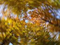 Kuhn-Dragomir_Rozina-Porta