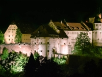 LED_Dirk-Kohle.jpg
