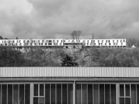 RADENBACH_Werner-Alt und neu