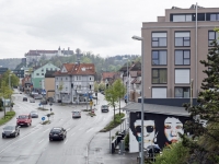 RADENBACH_Werner-Von Schnoida her