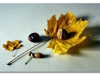 Herbst_21