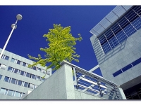 Landhaus_Kopie2