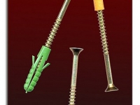 Scann_Kopie_2