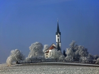 Winterpracht