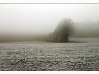 Nebel_bei_Zang