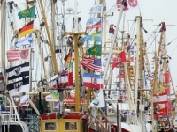 Hafen_B_sum