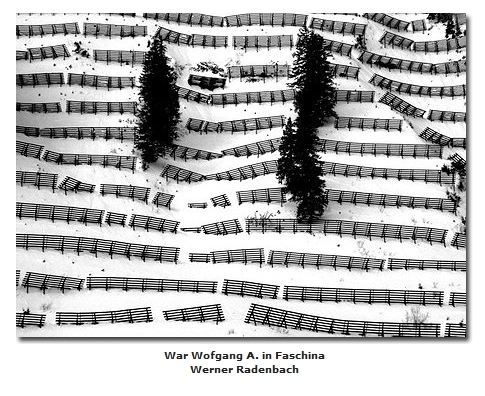 2018-06-10 23_05_16-Galerie CLICCS Foto Forum Heidenheim __ Ausstellung Natur __ War_Wofgang_A_in_Fa