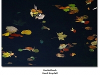 2018-06-10 23_03_09-Galerie CLICCS Foto Forum Heidenheim __ Ausstellung Natur __ Herbstlaub_Gerd_Key