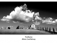 2018-06-10 23_04_55-Galerie CLICCS Foto Forum Heidenheim __ Ausstellung Natur __ Toskana_Alois_Csefa