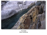 2018-06-10 23_05_06-Galerie CLICCS Foto Forum Heidenheim __ Ausstellung Natur __ Verzaska_Alois_Csef