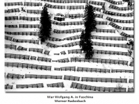 2018-06-10 23_05_16-Galerie CLICCS Foto Forum Heidenheim __ Ausstellung Natur __ War_Wofgang_A_in_Fa