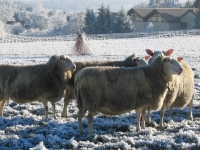 bei_Wind_und_Wetter_draussen