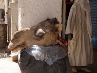 Algerien 2008 68_N3
