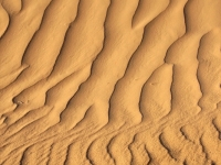 Algerien 2008 70_Djanet_Auslage