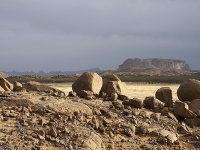Algerien Ahaggar 25_Wildesel