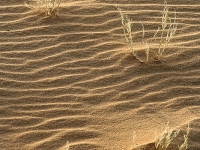 Algerien Tassili n Ahaggar 11_Rippeln