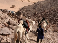 Algerien Tassili n Ajjer 28_Tassili_n_Ajjer_7