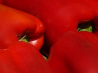 Neuner-Martin_-Paprika